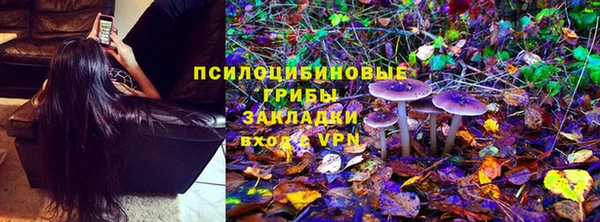 mdpv Болхов