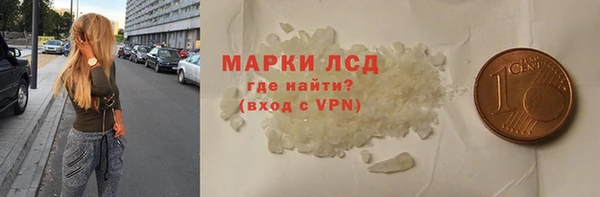 apvp Болотное