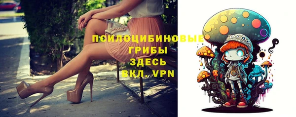 тгк Надым